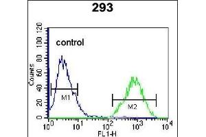 anti-Transcription Factor AP-4 (Activating Enhancer Binding Protein 4) (TFAP4) (AA 125-154) antibody