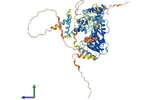 Protein Structure (PS) image for Pogo Transposable Element with KRAB Domain (POGK) (AA 1-609) protein (His tag) (ABIN7550792)
