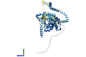 Protein Structure (PS) image for Solute Carrier Family 28 (Sodium-Coupled Nucleoside Transporter), Member 3 (SLC28A3) (AA 1-691) protein (His tag) (ABIN7555301)