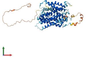Protein Structure (PS) image for Solute Carrier Family 38 Member 3 (SLC38A3) (AA 1-504) protein (His tag) (ABIN7555304)