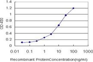 Detection limit for recombinant GST tagged VNN1 is approximately 0. (VNN1 抗体  (AA 298-397))