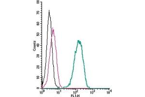 Cell surface detection of nAChRα7 by indirect flow cytometry in live intact human THP-1 monocytic leukemia cells: (black line) Cells.