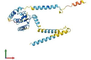 Protein Structure (PS) image for Ring Finger Protein 170 (RNF170) (AA 1-258) protein (His tag) (ABIN7551506)