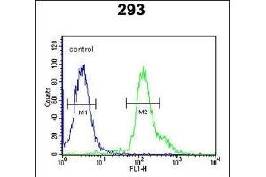 RSPO2 Antibody (C-term) (ABIN651457 and ABIN2840250) flow cytometric analysis of 293 cells (right histogram) compared to a negative control cell (left histogram). (RSPO2 抗体  (C-Term))