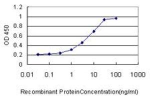 Detection limit for recombinant GST tagged PIK3R4 is approximately 0. (PIK3R4 抗体  (AA 1259-1358))