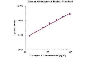 ELISA image for Granzyme A (Granzyme 1, Cytotoxic T-Lymphocyte-Associated serine Esterase 3) (GZMA) ELISA Kit (ABIN3198539)
