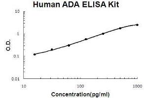 Human ADA PicoKine ELISA Kit standard curve (ADA ELISA 试剂盒)