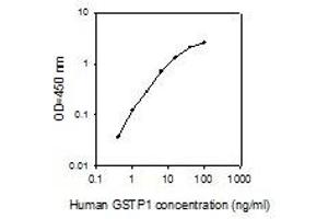 ELISA image for Glutathione S-Transferase pi 1 (GSTP1) ELISA Kit (ABIN4883149) (GSTP1 ELISA 试剂盒)
