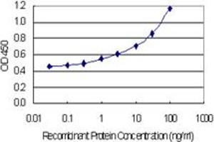Detection limit for recombinant GST tagged DAAM2 is 0. (DAAM2 抗体  (AA 1-132))