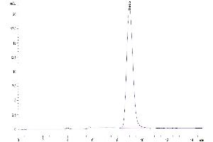 The purity of Mouse Fc gamma RI/CD64 is greater than 95 % as determined by SEC-HPLC.