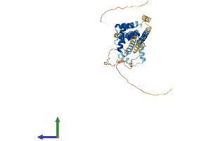 AlphaFold protein structure predicition of Human Recombinant PBX1 Protein, UniprotID P40424