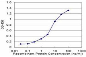 Detection limit for recombinant GST tagged SFPQ is approximately 0. (SFPQ 抗体  (AA 269-361))