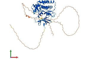 Protein Structure (PS) image for Casein Kinase 1, gamma 1 (CSNK1G1) (AA 1-459) protein (His tag) (ABIN7558874)