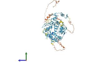 Protein Structure (PS) image for Zinc Finger Protein 317 (ZNF317) (AA 1-595) protein (His tag) (ABIN7545795)