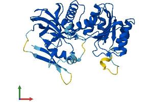 Protein Structure (PS) image for Crystallin, Zeta, Homolog (AA 1-348) protein (His tag) (ABIN7560208)