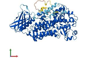 Protein Structure (PS) image for Arachidonate Lipoxygenase 3 (ALOXE3) (AA 1-711) protein (His tag) (ABIN7554416)