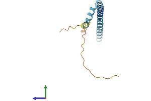 Protein Structure (PS) image for TSC22 Domain Family, Member 3 (TSC22D3) (AA 1-137) protein (His tag) (ABIN7556442)