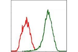Flow cytometric analysis of Jurkat cells using MSN mouse mAb (green) and negative control (red). (Moesin 抗体)