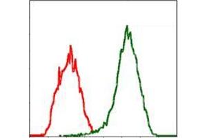 Flow cytometric analysis of Jurkat cells using MSN mouse mAb (green) and negative control (red). (Moesin 抗体)