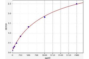 Typical standard curve (Cyclin D2 ELISA 试剂盒)