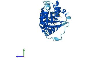 Protein Structure (PS) image for ADP-Ribosylation Factor Related Protein 1 (ARFRP1) (AA 1-201) protein (His tag) (ABIN7559001)