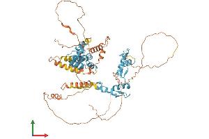 Protein Structure (PS) image for Zinc Finger and BTB Domain Containing 7A (ZBTB7A) (AA 1-584) protein (His tag) (ABIN7545428)