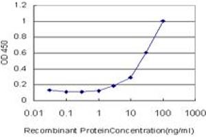 Detection limit for recombinant GST tagged NBN is approximately 3ng/ml as a capture antibody. (Nibrin 抗体  (AA 645-754))