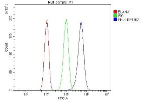 Flow Cytometry analysis of PC-3 cells using anti-FHL antibody (ABIN7600488).