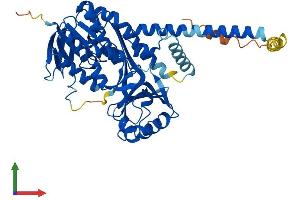 Protein Structure (PS) image for Kynurenine 3-Monooxygenase (Kynurenine 3-Hydroxylase) (KMO) (AA 1-486) protein (His tag) (ABIN7554368)