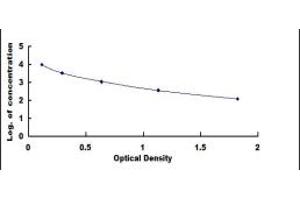 Typical standard curve (NMS ELISA 试剂盒)