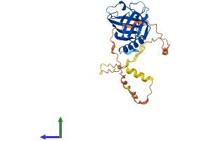 AlphaFold protein structure predicition of Human Recombinant WBP2 Protein, UniprotID Q969T9