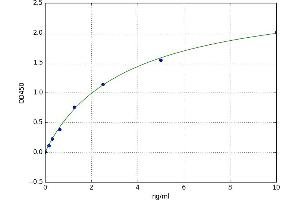 A typical standard curve (NMES1 ELISA 试剂盒)