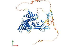 Protein Structure (PS) image for Growth Factor Receptor-Bound Protein 7 (GRB7) (AA 1-532) protein (His tag) (ABIN7554042)
