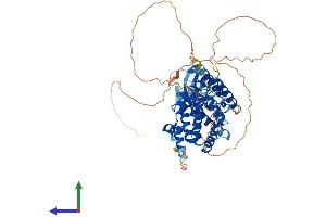 Protein Structure (PS) image for SHQ1 Homolog (SHQ1) (AA 1-569) protein (His tag) (ABIN7558216)
