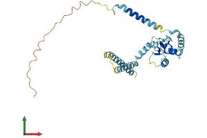 Protein Structure (PS) image for Ring Finger Protein 170 (RNF170) (AA 1-286) protein (His tag) (ABIN7559233)