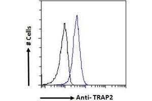 Flow Cytometry (FACS) image for anti-Proteasome (Prosome, Macropain) 26S Subunit, Non-ATPase, 2 (PSMD2) (C-Term) antibody (ABIN185319)