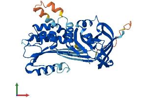 AlphaFold protein structure predicition of Human Recombinant SERPINB13 Protein, UniprotID Q9UIV8