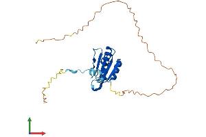 Protein Structure (PS) image for Chromosome 7 Open Reading Frame 30 (C7orf30) (AA 1-234) protein (His tag) (ABIN7549252)