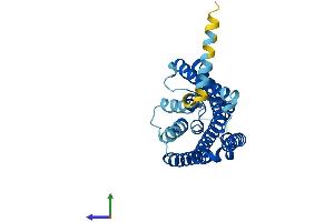 Protein Structure (PS) image for Olfactory Receptor, Family 51, Subfamily E, Member 2 (OR51E2) (AA 1-320) protein (His tag) (ABIN7559784)