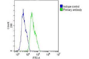 Overlay histogram showing MCF-7 cells stained with Antibody (green line). (IL-1 beta 抗体  (AA 148-174))