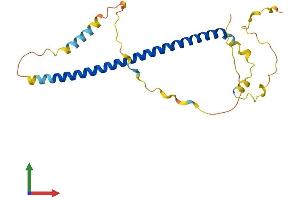 AlphaFold protein structure predicition of Human Recombinant TRNP1 Protein, UniprotID Q6NT89 (TRNP1 Protein (AA 1-227) (His tag))