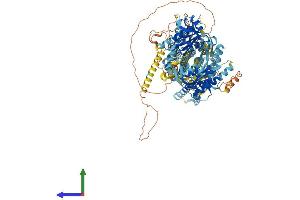 AlphaFold protein structure predicition of Mouse Recombinant Adcy8 Protein, UniprotID P97490