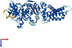 AlphaFold protein structure predicition of Human Recombinant ATP6V1A Protein, UniprotID P38606
