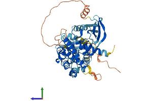 Protein Structure (PS) image for Mitogen-Activated Protein Kinase Kinase 5 (MAP2K5) (AA 1-448) protein (His tag) (ABIN7556336)