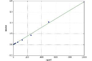 Bridging Integrator 1 (BIN1) ELISA Kit