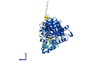 Protein Structure (PS) image for Chromosome 10 Open Reading Frame 33 (C10ORF33) (AA 1-581) protein (His tag) (ABIN7557149)