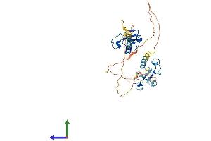 Protein Structure (PS) image for Muscleblind-Like Splicing Regulator 3 (MBNL3) (AA 1-342) protein (His tag) (ABIN7559610)