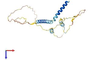 AlphaFold protein structure predicition of Mouse Recombinant Ier2 Protein, UniprotID P17950 (IER2 Protein (AA 1-221) (His tag))