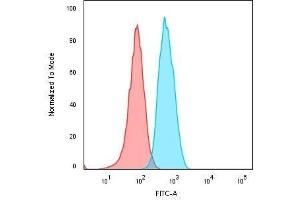 Flow Cytometric Analysis of Human Raji cells. (CD74 抗体)