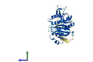 Protein Structure (PS) image for Exostoses (Multiple)-Like 2 (EXTL2) (AA 1-330) protein (His tag) (ABIN7561462)